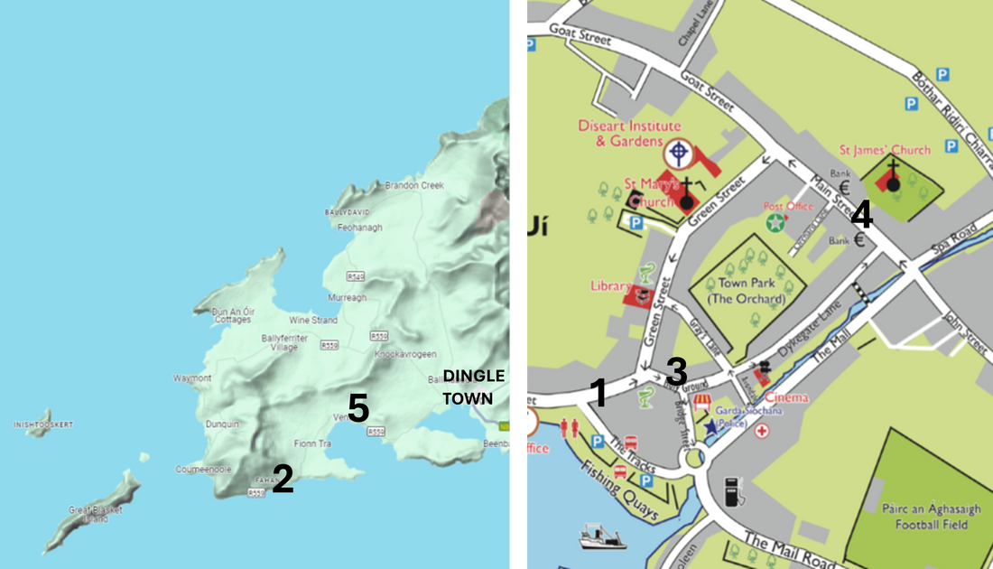 Lunch Spots near Dingle - Our Top 5