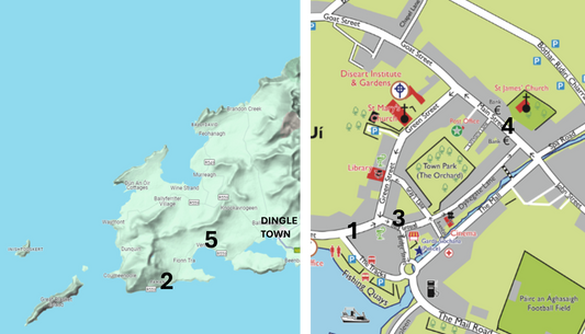 Lunch Spots near Dingle - Our Top 5